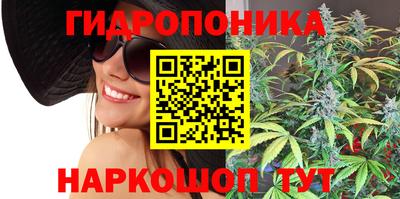 индика Бузулук