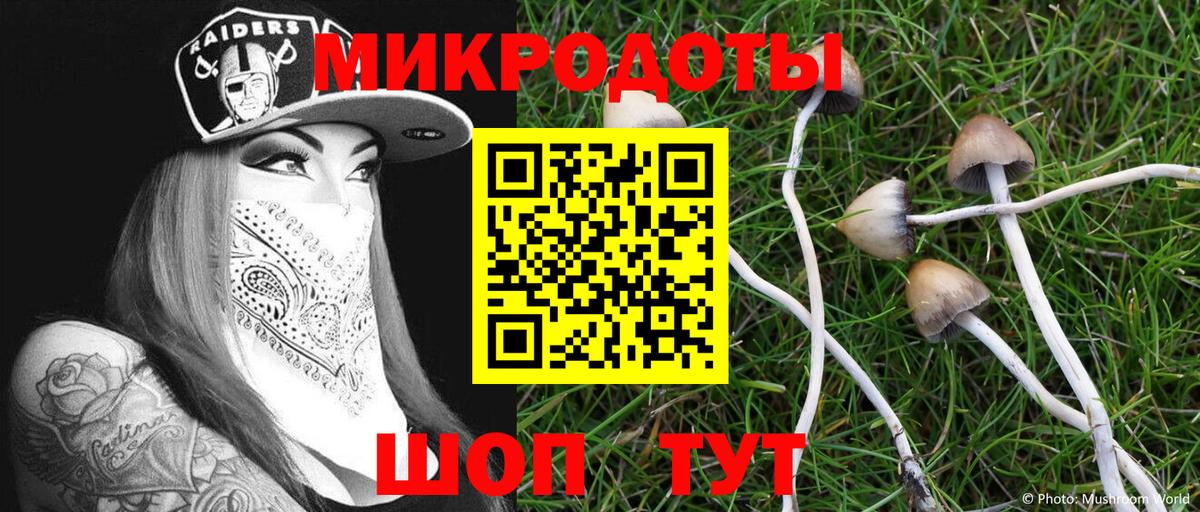 Галлюциногенные грибы Cubensis Ржев
