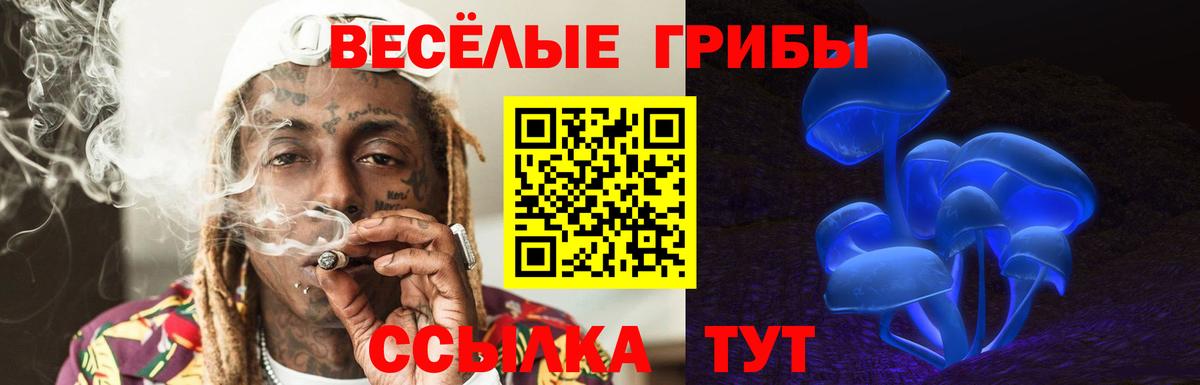 Псилоцибиновые грибы Psilocybine cubensis  Псилоцибиновые грибы ЛСД  Ржев  Вход с VPN 